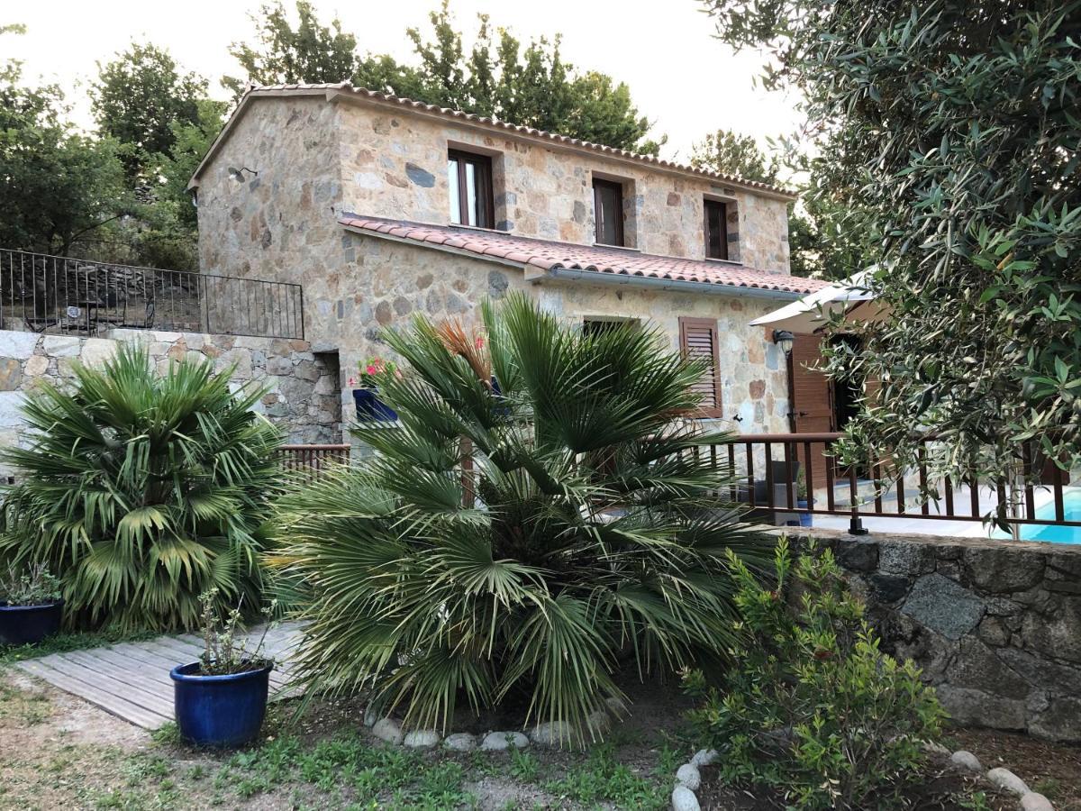 Chambres Dhotes Corse Venaco  Extérieur photo